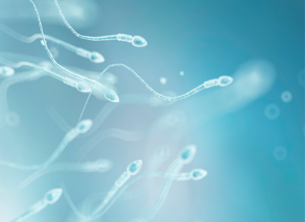 부평정관수술, 안전한 가족계획과 남성 기능 보존을 위한 3가지 진료 기준 1